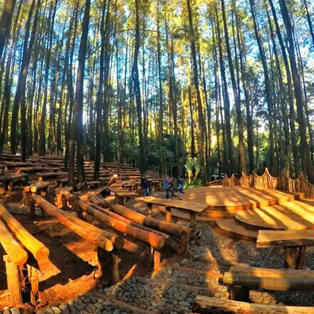 wisat Hutan Pinus yogyakarta